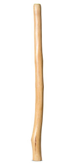 Medium Size Natural Finish Didgeridoo (TW1728)